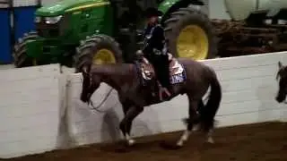Dr. Laura MIller on The Original Cowboy, 2013 QH Congress NAWP