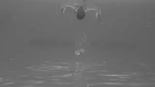 Depakote (Official Music Video)