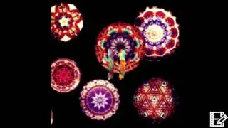 The Butterfly Effects - 