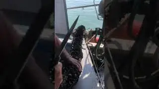 Fishing Online 14 08 2021 3