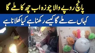 chicken poultry farm business plan
