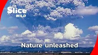 Fire Mountain: how nature destroys and rebuilds I FULL DOC | SLICE WILD