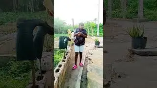 wahala everywhere 🤣😹😅 #funnyshort