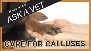 How to Care for Calluses