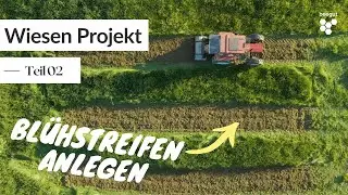 beegut Wiesenprojekt UPDATE: Erste Blühstreifen werden angelegt