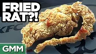 6 Fake Viral News Stories