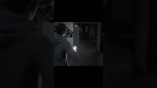 Stray Souls - Birthday Gifts?