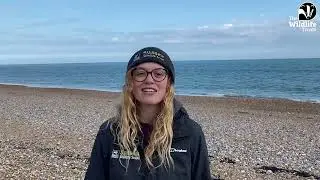 Highly Protected Marine Area - Dolphin Head, in the English Channel