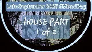 Dance music mix (Late September 2025) #MixedBag with DREAMER 4D