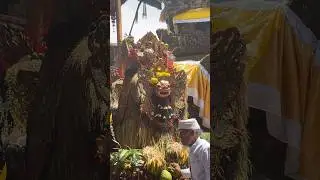 Ida Bhatara tedun ring upacara Tawur Agung Pedanan #fyp #foryou #foryoupage #bali #cinematic #trend