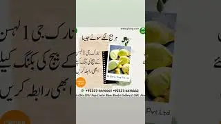 G1 Garlic King Farms #g1 #g1seed #garlic #garlicseed #seed #g1king #g1garlic #crop #lahson #imrankha