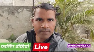 Ped paudhon ko swasth rakhne ke liye time per narai Gudai jaruri hai Mini Movie XYZ is live #🌳🌲🪴🙏