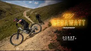 Nukeproof Megawatt: Sorry, Not Sorry