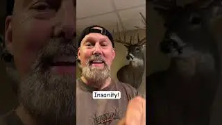 BUCK INSANITY! #shorts #shortvideo #hunting #fishing #outdoors #deer #mountains #fall #archery