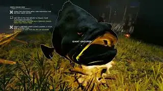 Cooking Fish In Stranded Deep Or Not Is This The Right Way ?