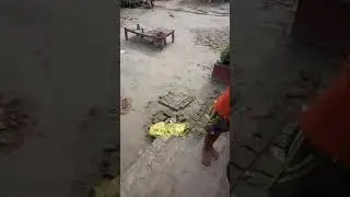 Canadian video