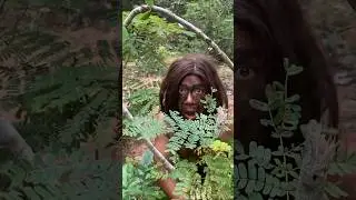Survival skills: SMART idea and USEFUL#bushcraft #shorts #camping #wildlife