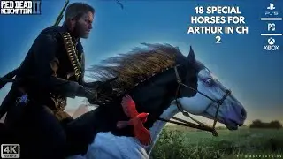 18 Rare/Special Horses In CH 2 With Exact Locations - RDR 2 | 2025 Updated