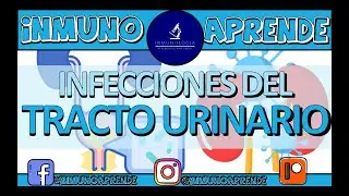 Infecciones del Tracto Urinario | Cistitis no complicada - Pielonefritis - IVUS recurrentes