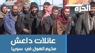 قنبلة موقوتة.. مخيم الهول لعائلات داعش في سوريا يضم 9 آلاف امرأة وطفل