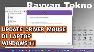 Cara Update Driver Mouse di Device Manager Windows 11