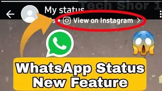 WhatsApp Status 