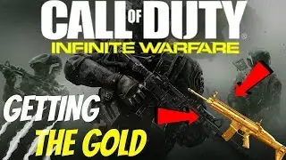 *GOLD CAMO* 2 guns *NV4* and *ERAD* Infinite Warfare