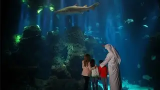 Largest Aquarium In The Middle East After Dubai || Kuwait Aquarium