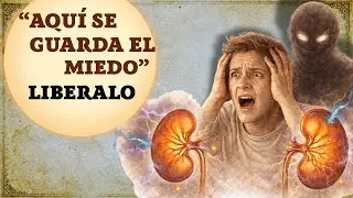 &iquest;Por qu&eacute; el miedo destruye tus ri&ntilde;ones? La verdad antigua