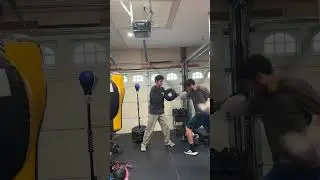 Boxing Training - Left Hook on Cleto Reyes Punch Shield