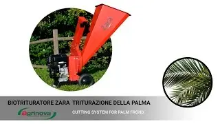 #Cippatore per Palma  taglio 7 cm  Zara Agrinova - #PalmChipper #BroyeurPalmier
