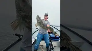 Quick little evening trip #fishing #lingcod #northerncalifornia #shorts