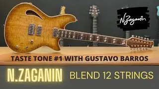N.Zaganin - Taste Tone with Gustavo Barros: Blend 12 Strings (part 1)