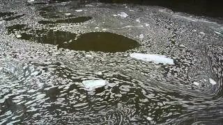 The Swirling Waters of New Hope Creek - Orange County, NC