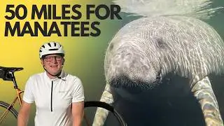 Bike Adventure to Blue Springs State Park | Manatees, Kayaking & Epic Scenery