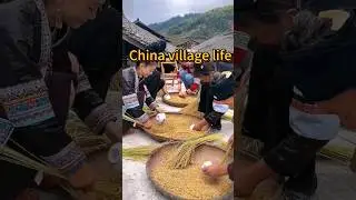 China village life,harvest rice #china #chinalife #rurallife
