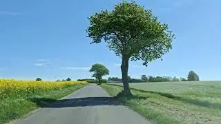 Driving in my car from &Oslash;rslev to Stensved in Denmark. 4K. 2160p. 09/05-2025