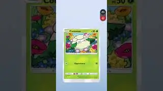 Sbusto #3 #pokemon #tcg #tcgpokemon #shorts #pierretcgpocket #sbusto