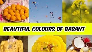 Basant | Basant Festival 2022 | Beautiful Colours Of Basant