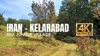 Iran, Jisa Forest Village Walking Tour 4k, walking in the jungle, Iran nature