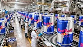 Inside Red Bull Factory  The Untold Secrets Behind Production!