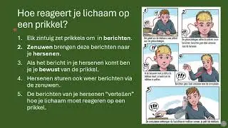 3.1 Zintuigen en prikkels - NECTAR 1 VMBO KGT