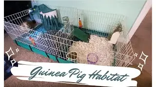 Cleaning Out My Guinea Pigs' Habitat! ft. haul from PetSmart~ 😍
