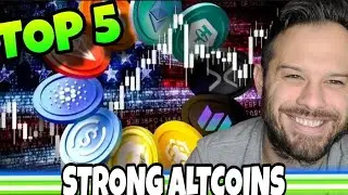 These Are My Top 5 Altcoins I'm Buying During This Crypto Market Crash!