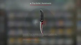Gamma 2 Case: My 25th Knife! (MW Flip Knife Autotronic)