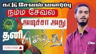 சென்னிமலை கார்த்திக்ராஜ் சேவல், ஈரோடு|பசுமை நண்பன்