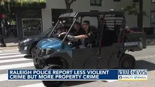 Car thefts, Glenwood South crime among main issues in RPD report