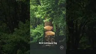 #pratee❣️ Environment day status _ 5 june status _ paryavaran divas status _