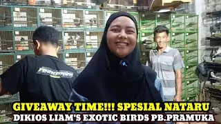 GIVEAWAY TIME!!! SPESIAL NATARU DIKIOS LIAM'S EXOTIC BIRDS|||CEK HARGA BURUNG DIPASAR BURUNG PRAMUKA