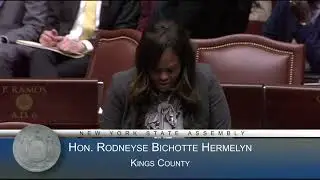 Assemblymember Rodneyse Bichotte Hermelyn spoke on the Assembly floor in support FY  State Budget